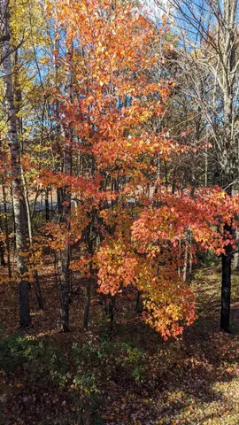 $348,500 | 5267 County Road A, Webster, WI 54893