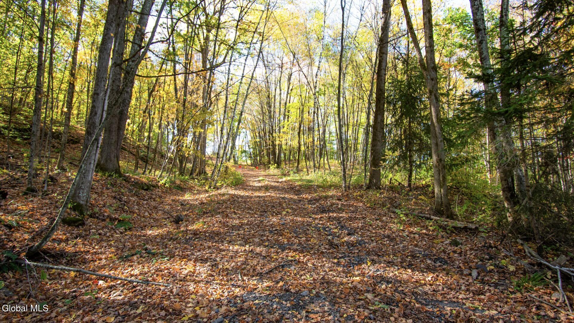 97 Sky Parlor Way Salem, NY 12865 - Photo 29 of 92 31