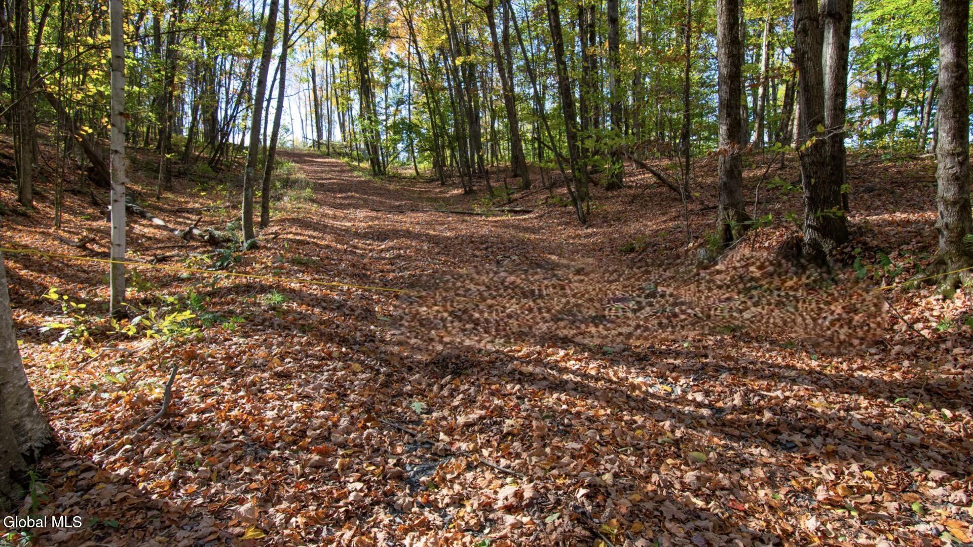 97 Sky Parlor Way Salem, NY 12865 - Photo 30 of 92 32