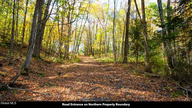 $373,000 | 97 Sky Parlor Way, Salem, NY 12865