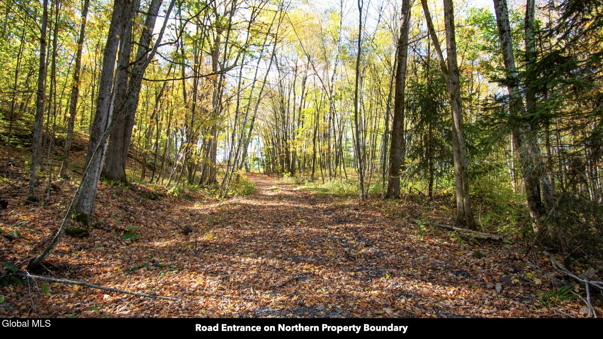 97 Sky Parlor Way Salem, NY 12865 - Photo 3 of 92 02