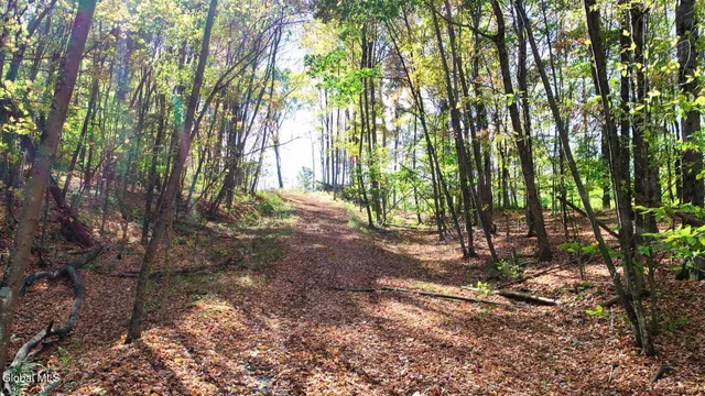 $373,000 | 97 Sky Parlor Way, Salem, NY 12865