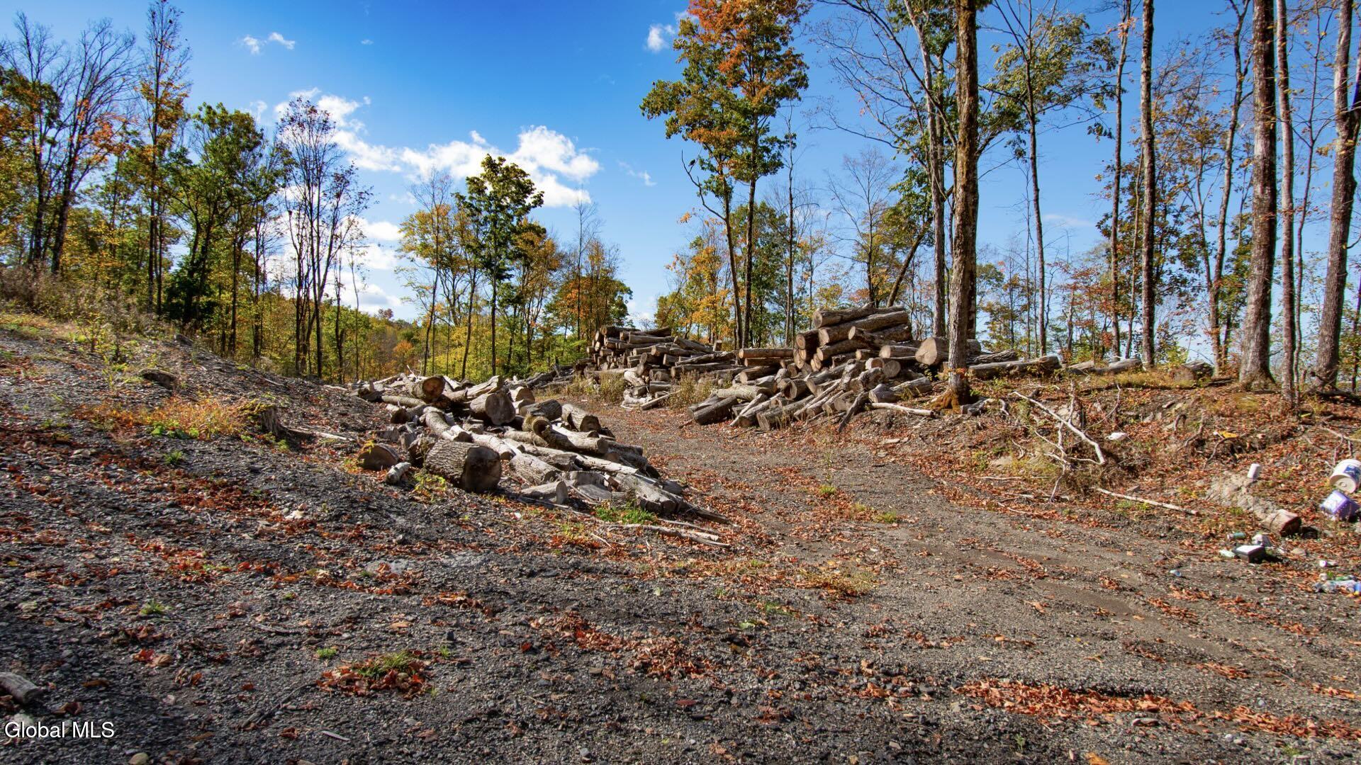 97 Sky Parlor Way Salem, NY 12865 - Photo 33 of 92 36