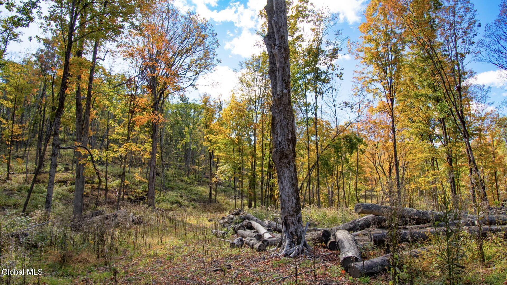 97 Sky Parlor Way Salem, NY 12865 - Photo 34 of 92 37