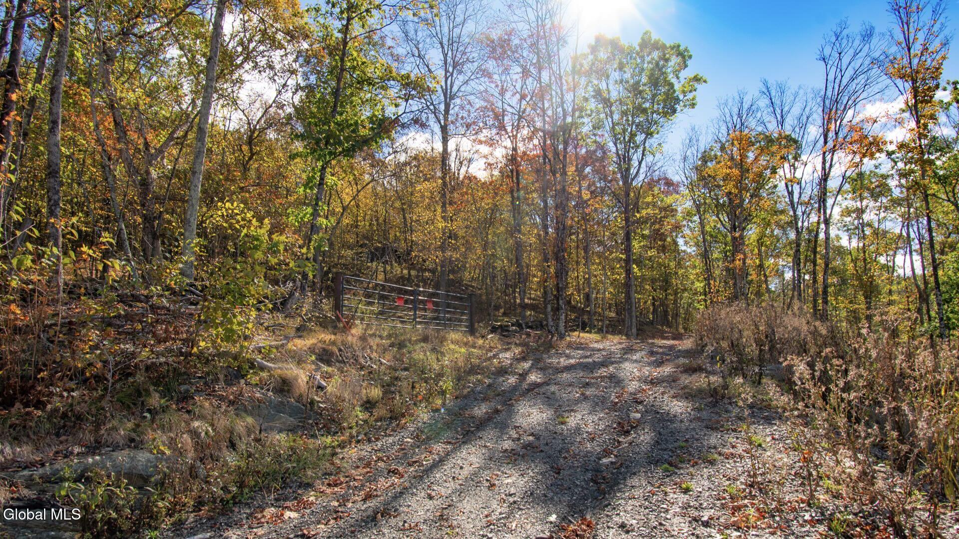 97 Sky Parlor Way Salem, NY 12865 - Photo 37 of 92 40