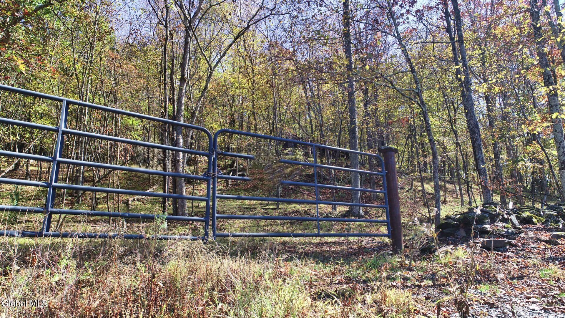 97 Sky Parlor Way Salem, NY 12865 - Photo 38 of 92 41