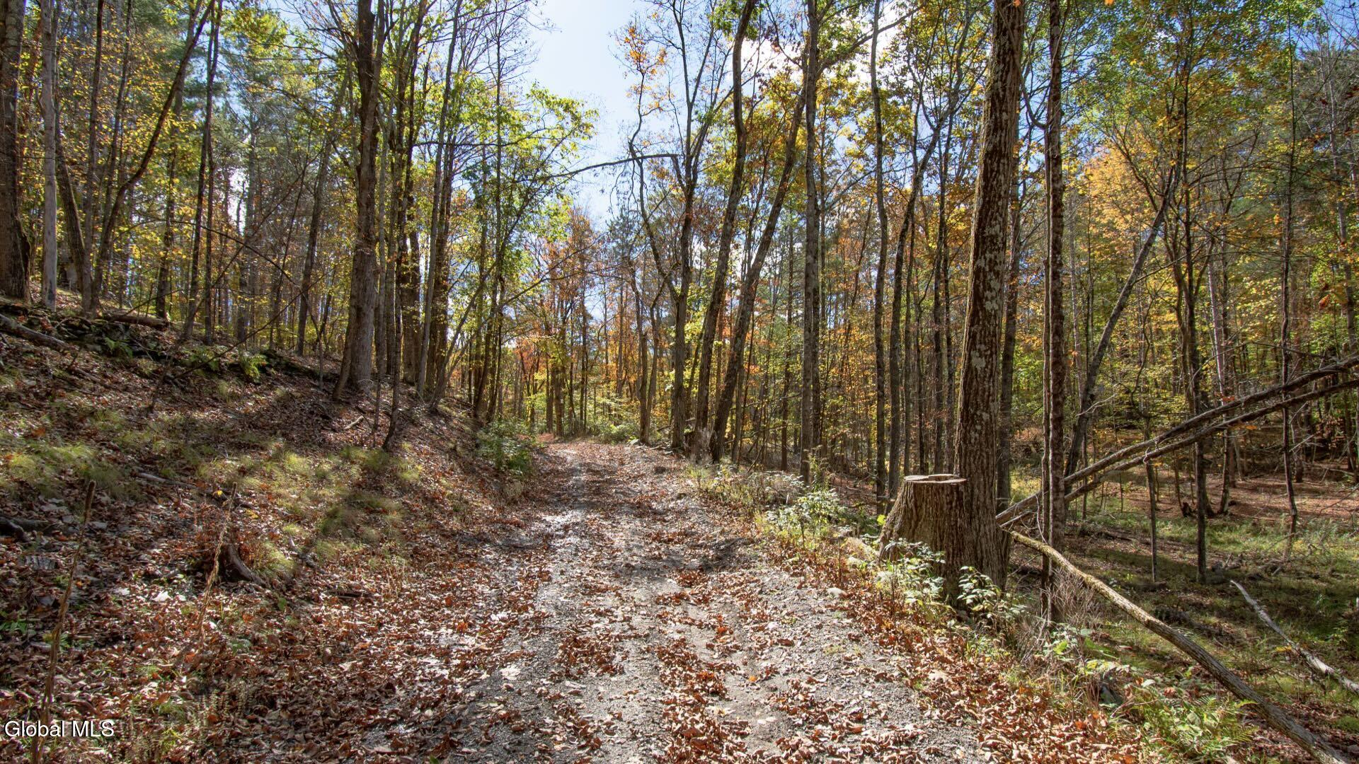 97 Sky Parlor Way Salem, NY 12865 - Photo 40 of 92 43