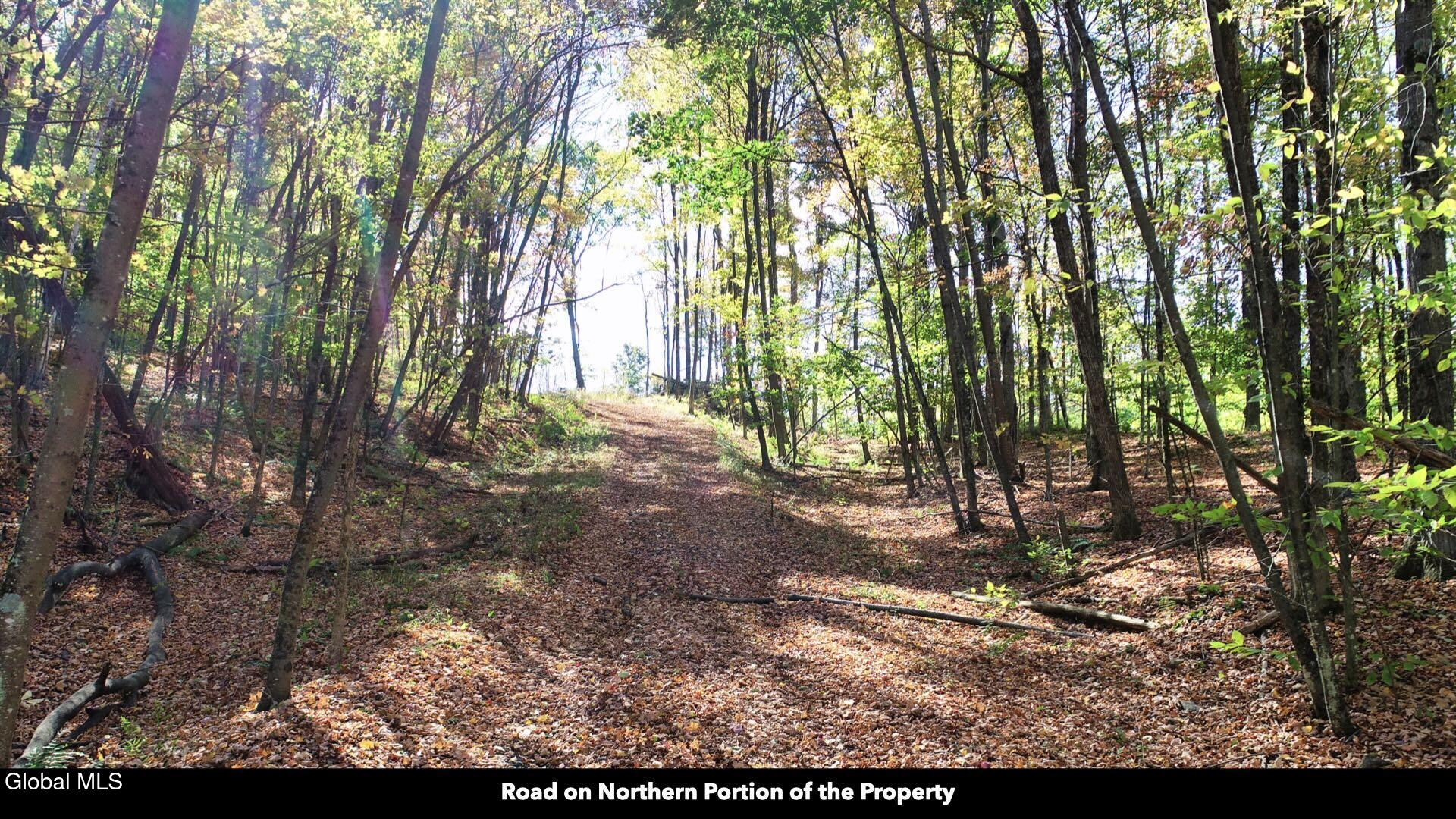 97 Sky Parlor Way Salem, NY 12865 - Photo 4 of 92 03