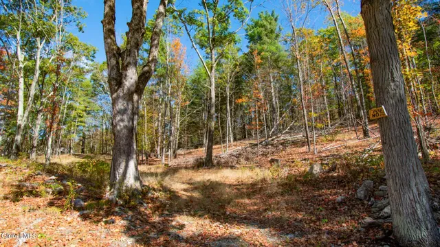 $373,000 | 97 Sky Parlor Way, Salem, NY 12865