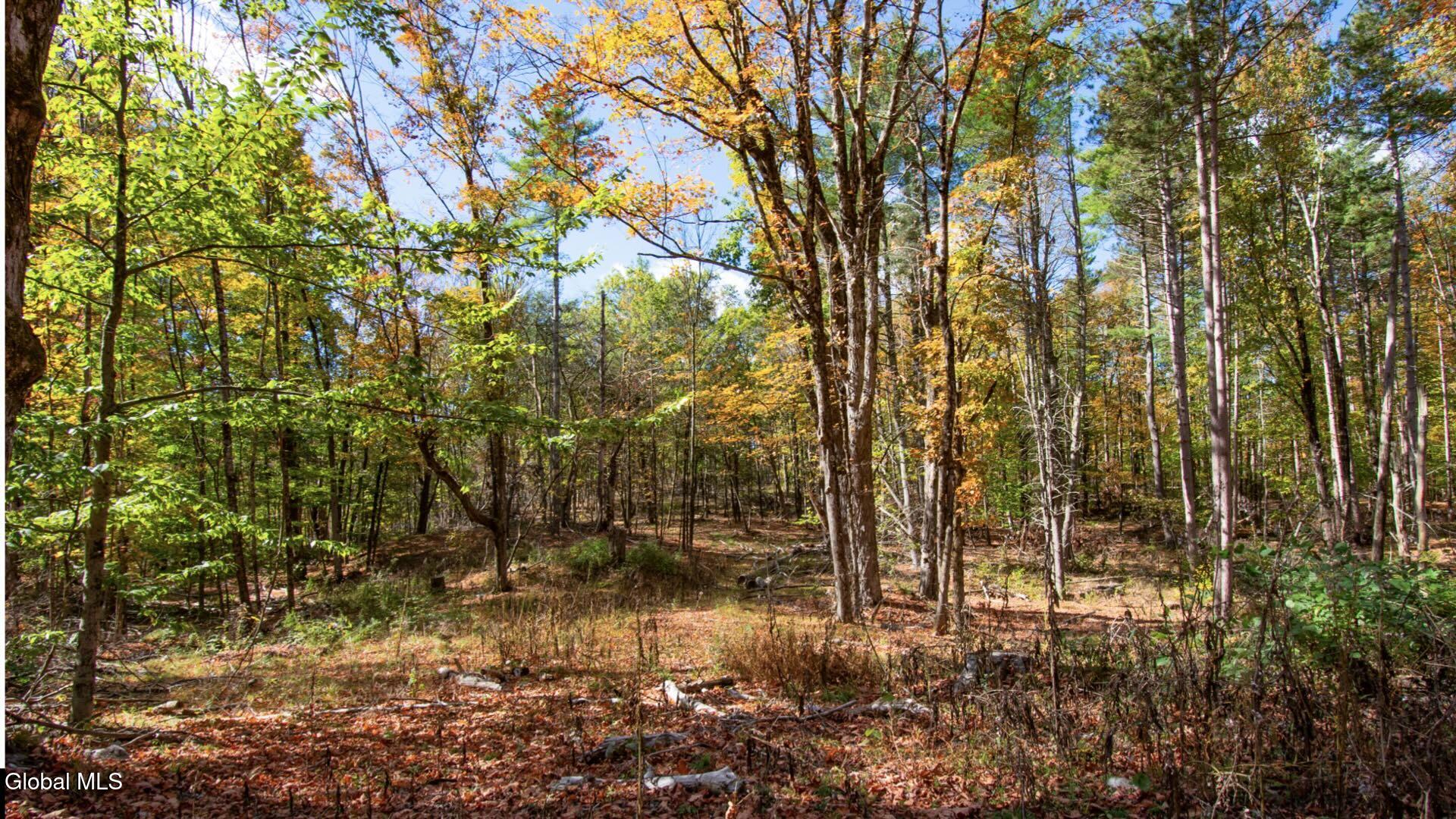 97 Sky Parlor Way Salem, NY 12865 - Photo 41 of 92 44