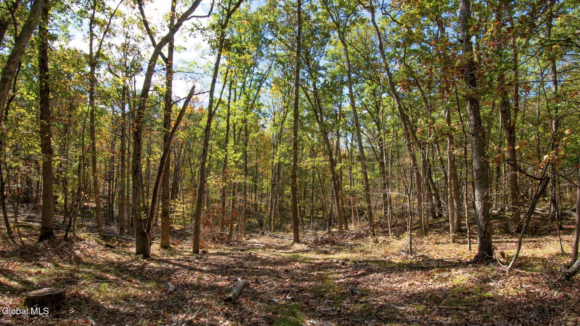 97 Sky Parlor Way Salem, NY 12865 - Photo 42 of 92 45