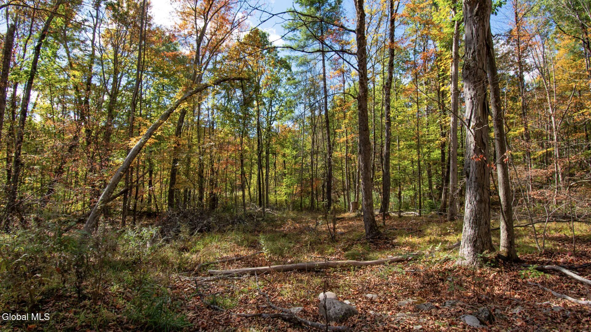 97 Sky Parlor Way Salem, NY 12865 - Photo 43 of 92 46