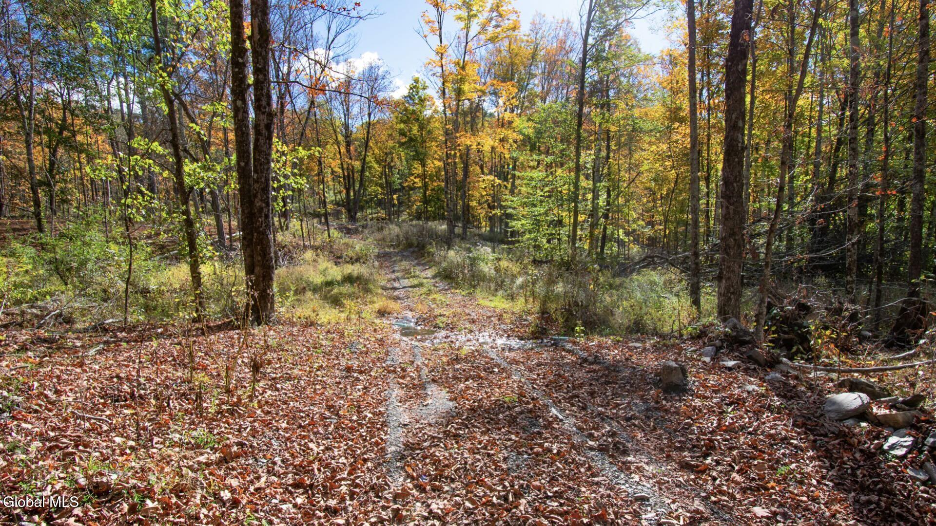 97 Sky Parlor Way Salem, NY 12865 - Photo 44 of 92 47