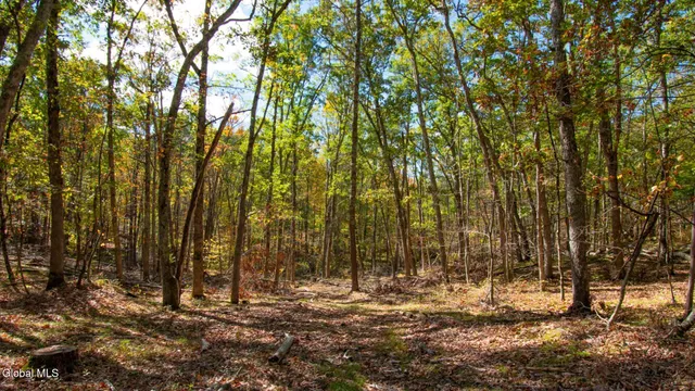 $373,000 | 97 Sky Parlor Way, Salem, NY 12865