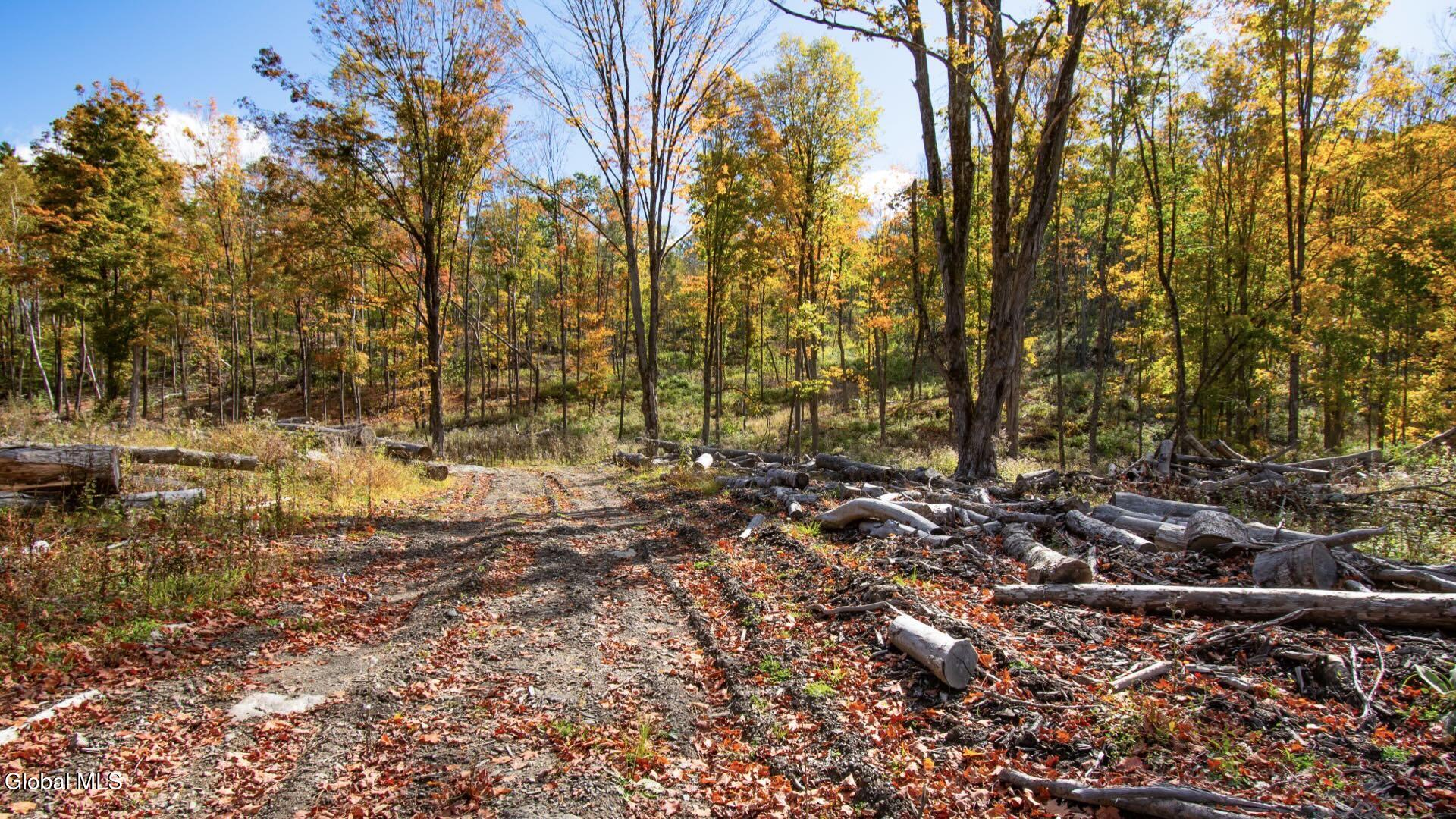 97 Sky Parlor Way Salem, NY 12865 - Photo 45 of 92 48