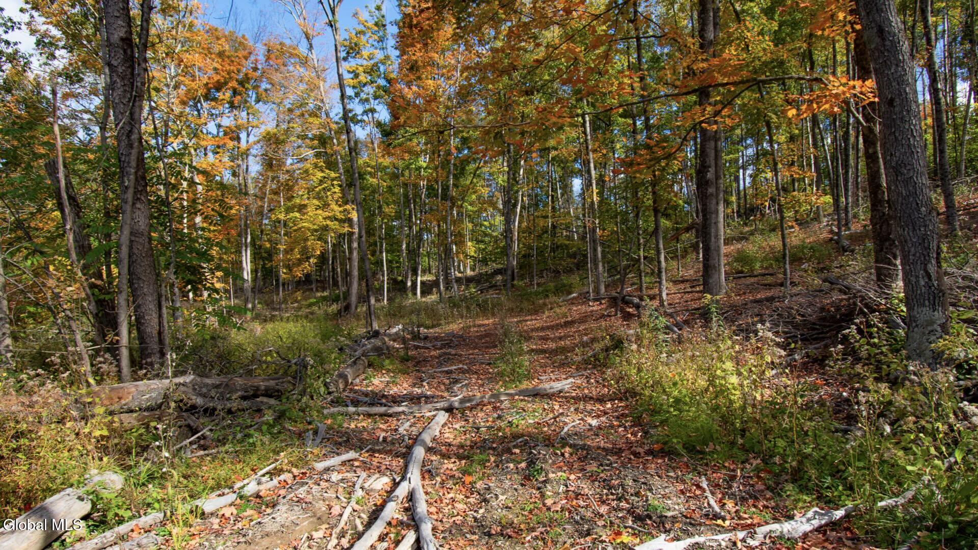 97 Sky Parlor Way Salem, NY 12865 - Photo 46 of 92 49