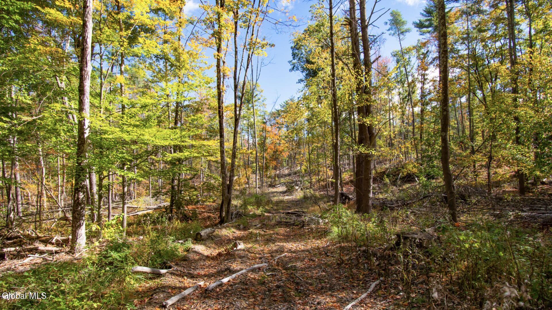 97 Sky Parlor Way Salem, NY 12865 - Photo 47 of 92 50