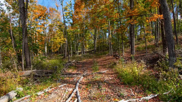 $373,000 | 97 Sky Parlor Way, Salem, NY 12865