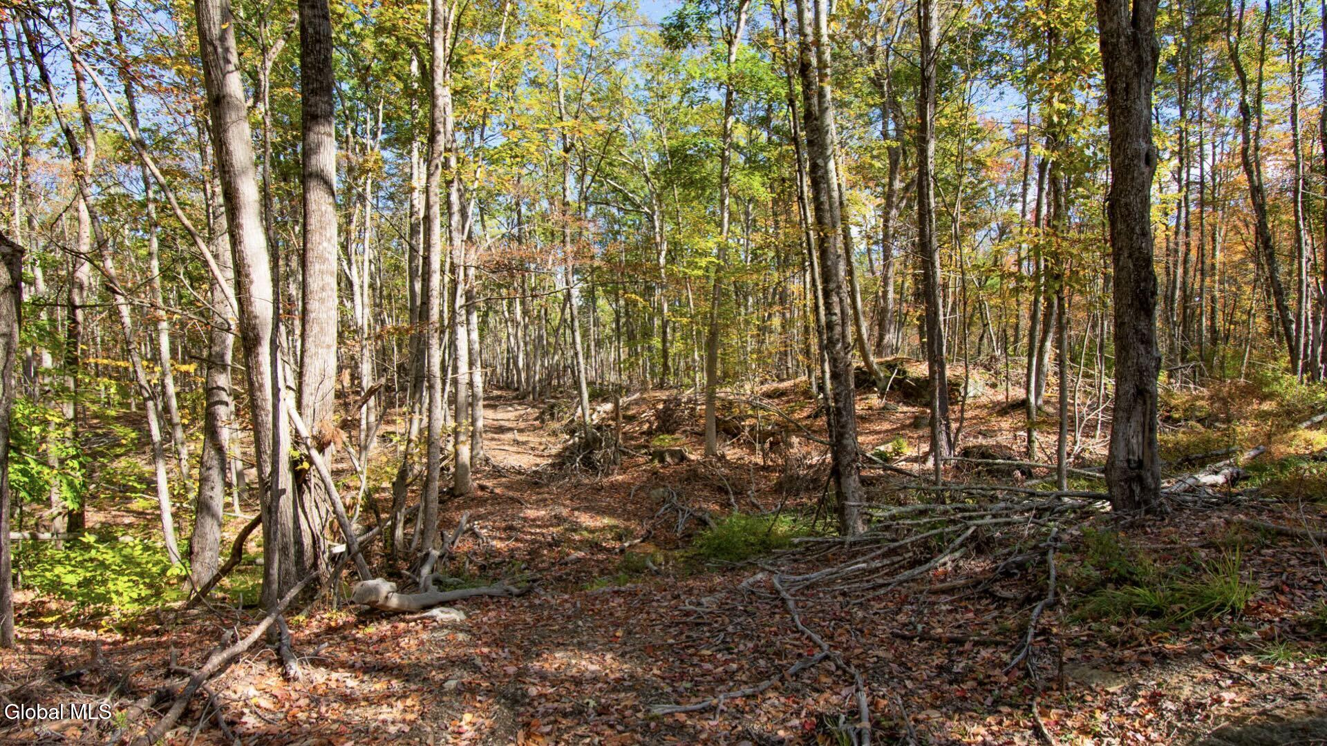 97 Sky Parlor Way Salem, NY 12865 - Photo 48 of 92 51