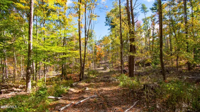 $373,000 | 97 Sky Parlor Way, Salem, NY 12865