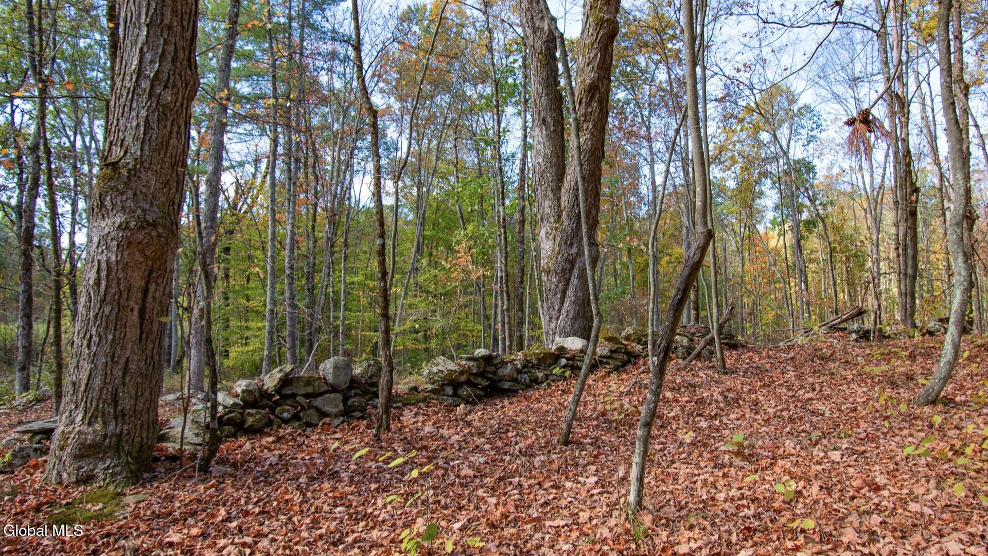 97 Sky Parlor Way Salem, NY 12865 - Photo 49 of 92 52