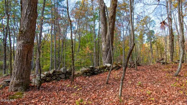 $373,000 | 97 Sky Parlor Way, Salem, NY 12865