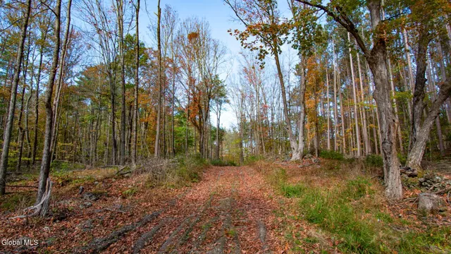 $373,000 | 97 Sky Parlor Way, Salem, NY 12865