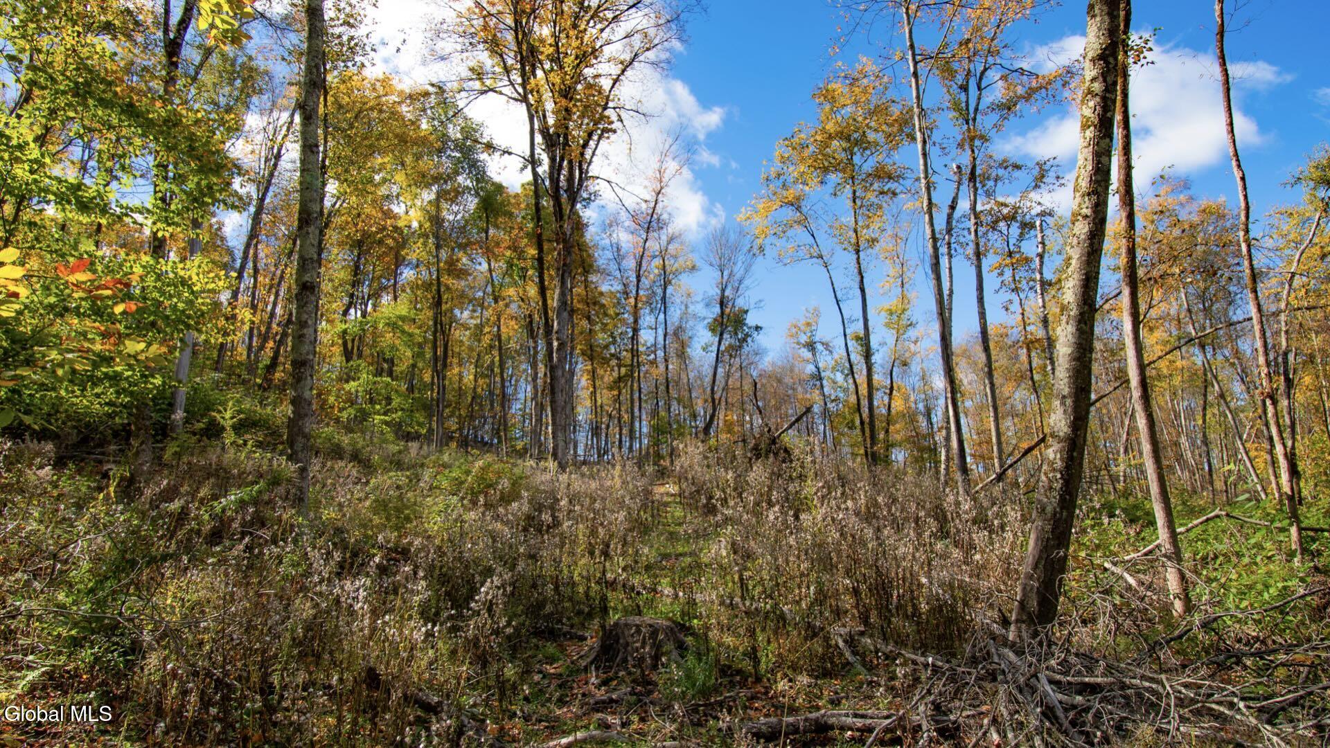 97 Sky Parlor Way Salem, NY 12865 - Photo 52 of 92 55