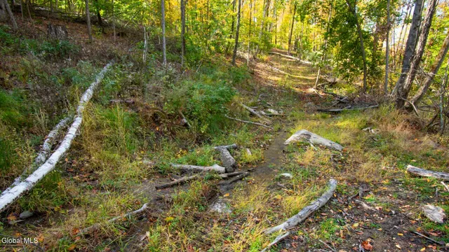 $373,000 | 97 Sky Parlor Way, Salem, NY 12865