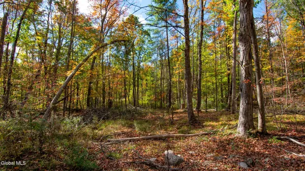 $373,000 | 97 Sky Parlor Way, Salem, NY 12865