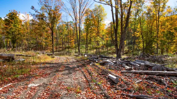 $373,000 | 97 Sky Parlor Way, Salem, NY 12865