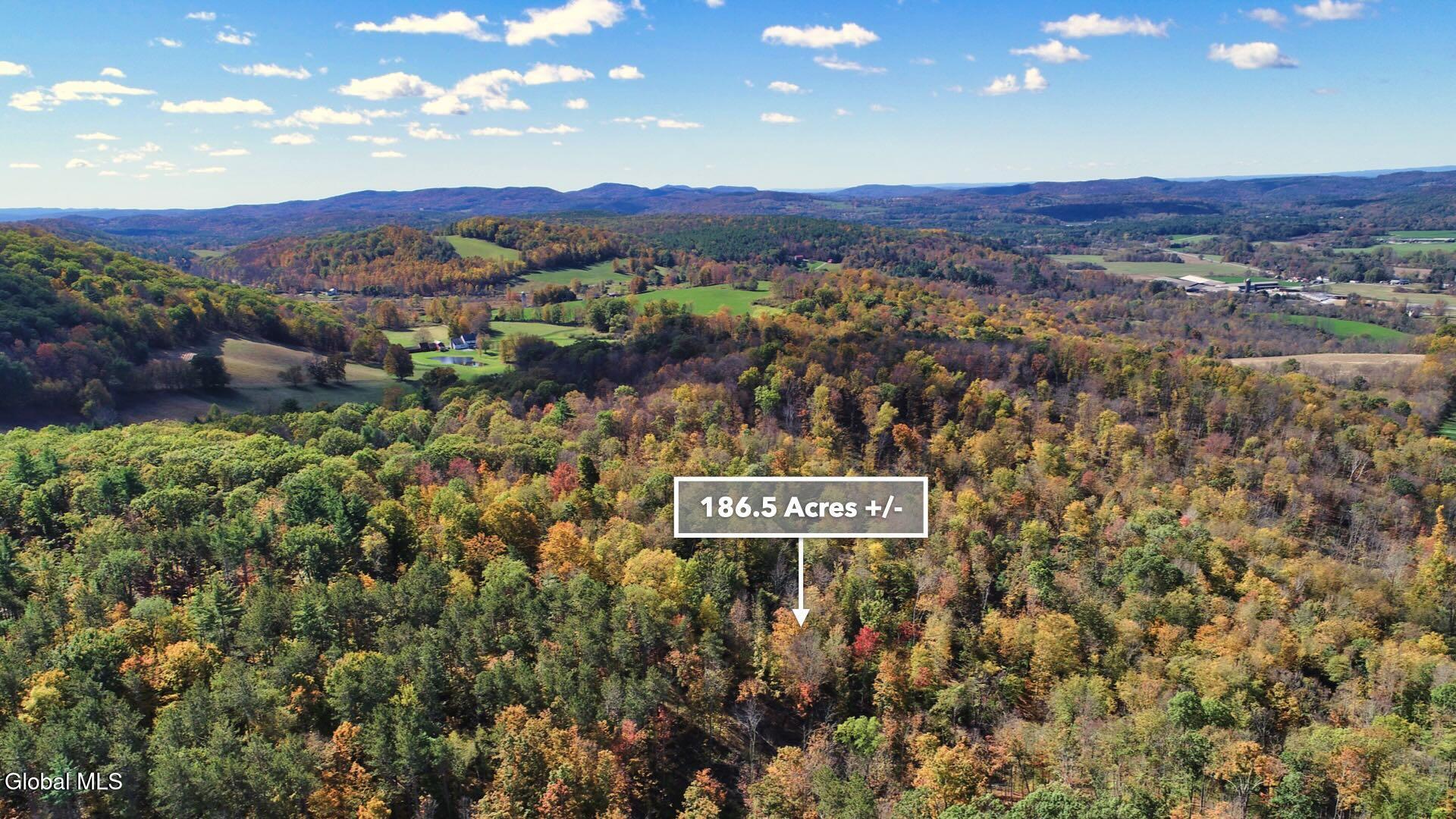 97 Sky Parlor Way Salem, NY 12865 - Photo 56 of 92 59