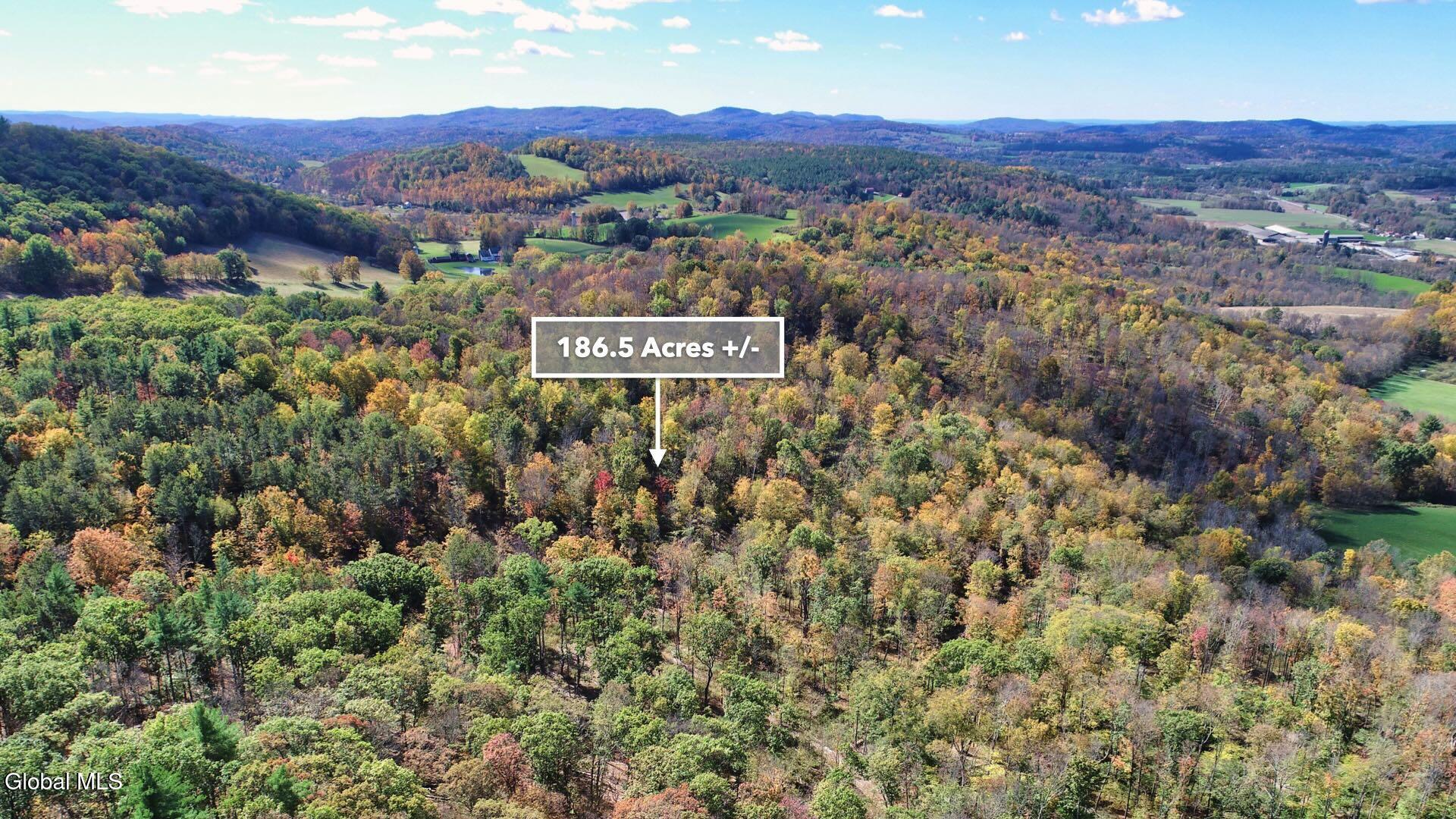 97 Sky Parlor Way Salem, NY 12865 - Photo 58 of 92 61