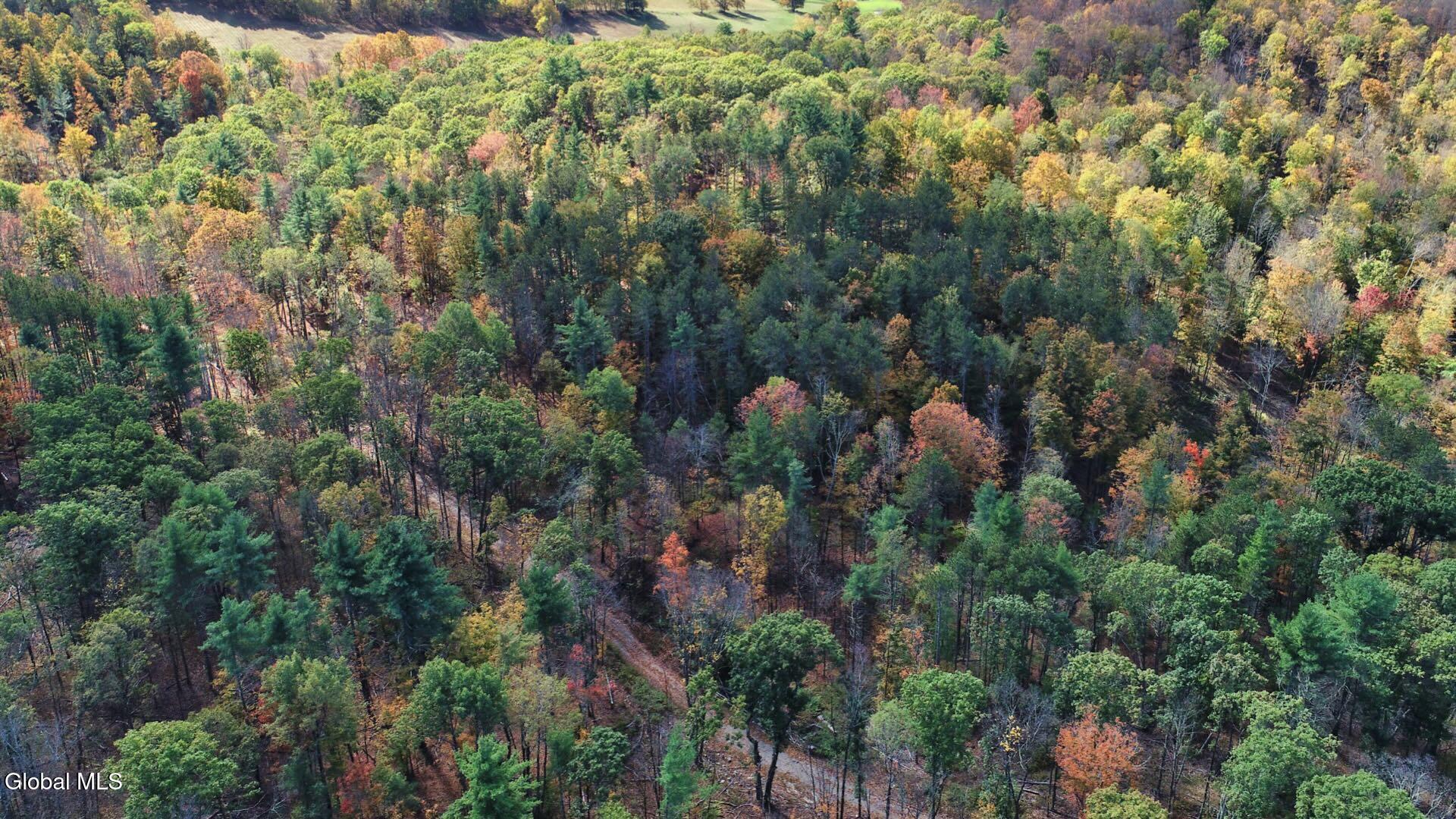 97 Sky Parlor Way Salem, NY 12865 - Photo 60 of 92 63