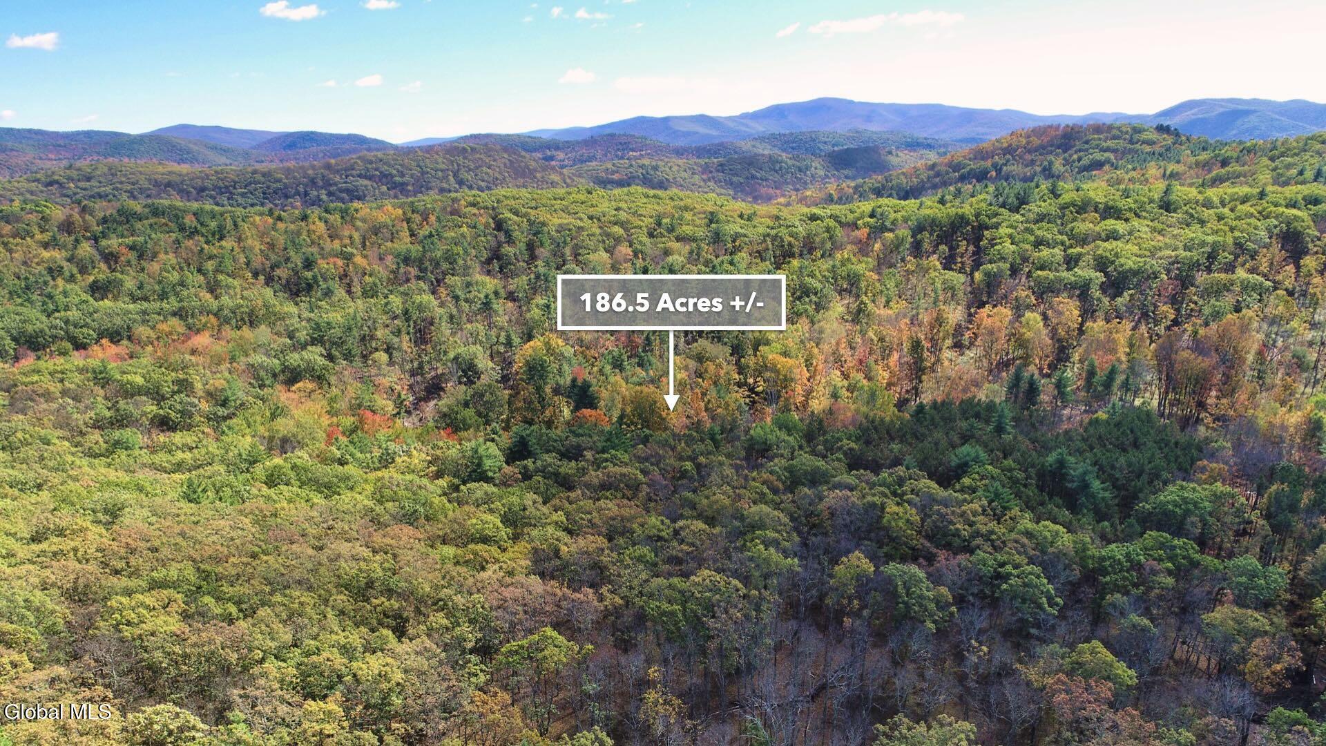 97 Sky Parlor Way Salem, NY 12865 - Photo 61 of 92 64