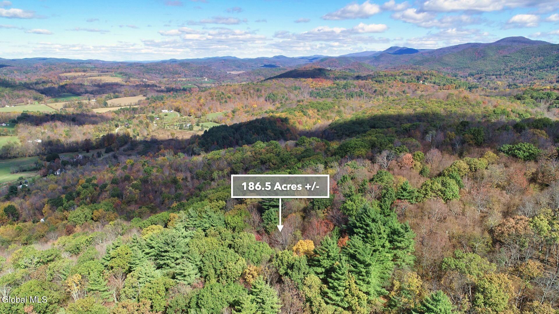 97 Sky Parlor Way Salem, NY 12865 - Photo 63 of 92 66