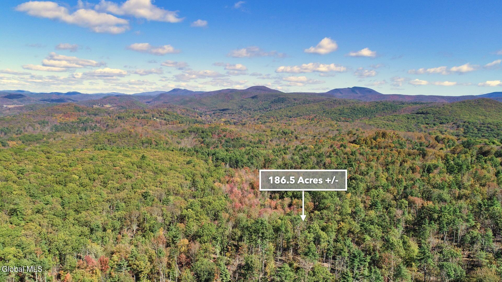 97 Sky Parlor Way Salem, NY 12865 - Photo 65 of 92 68