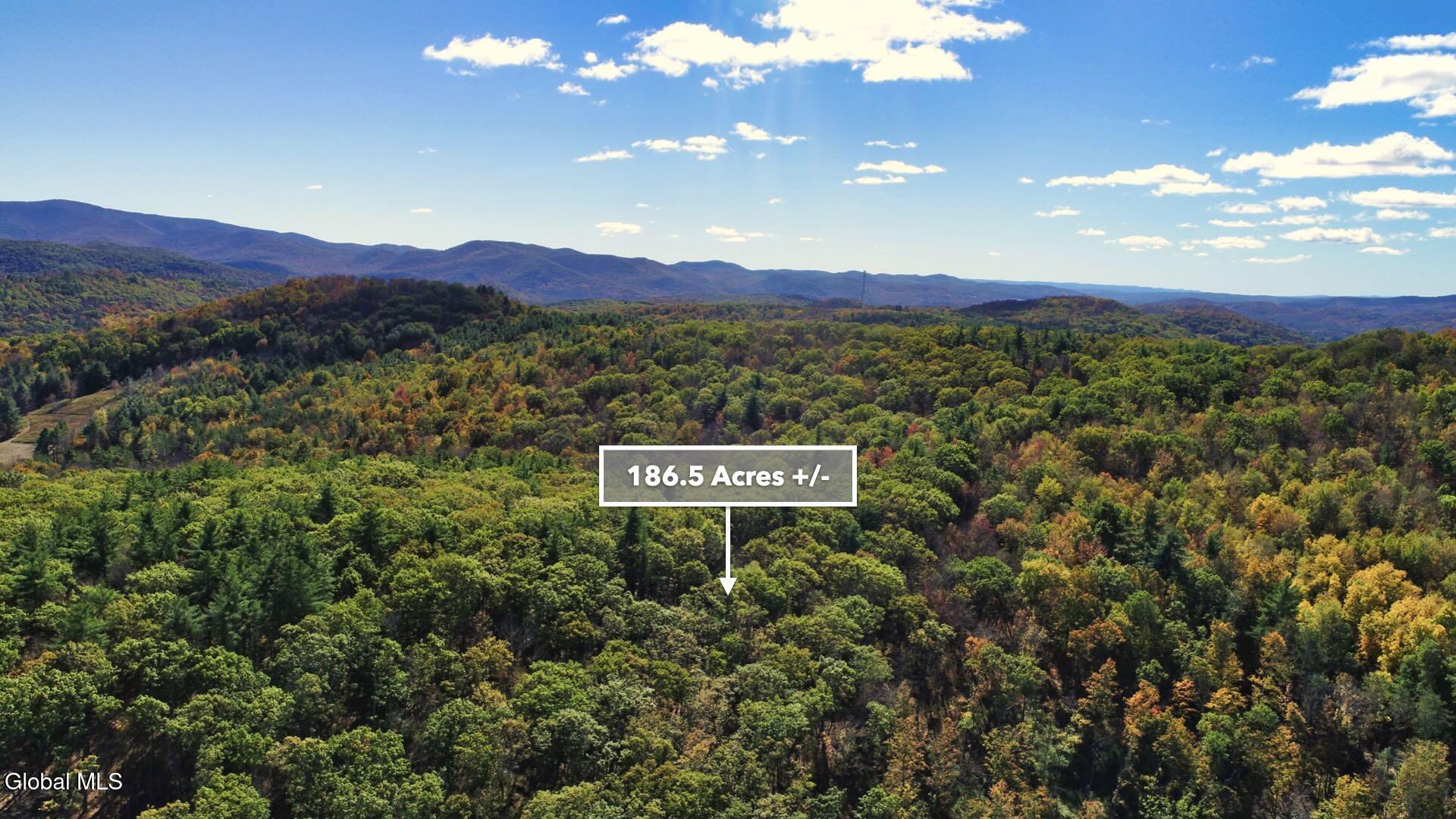 97 Sky Parlor Way Salem, NY 12865 - Photo 66 of 92 69