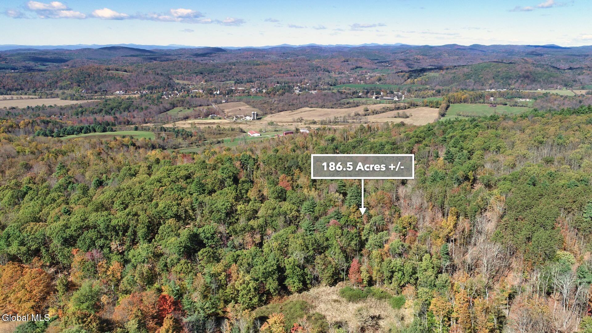 97 Sky Parlor Way Salem, NY 12865 - Photo 68 of 92 71