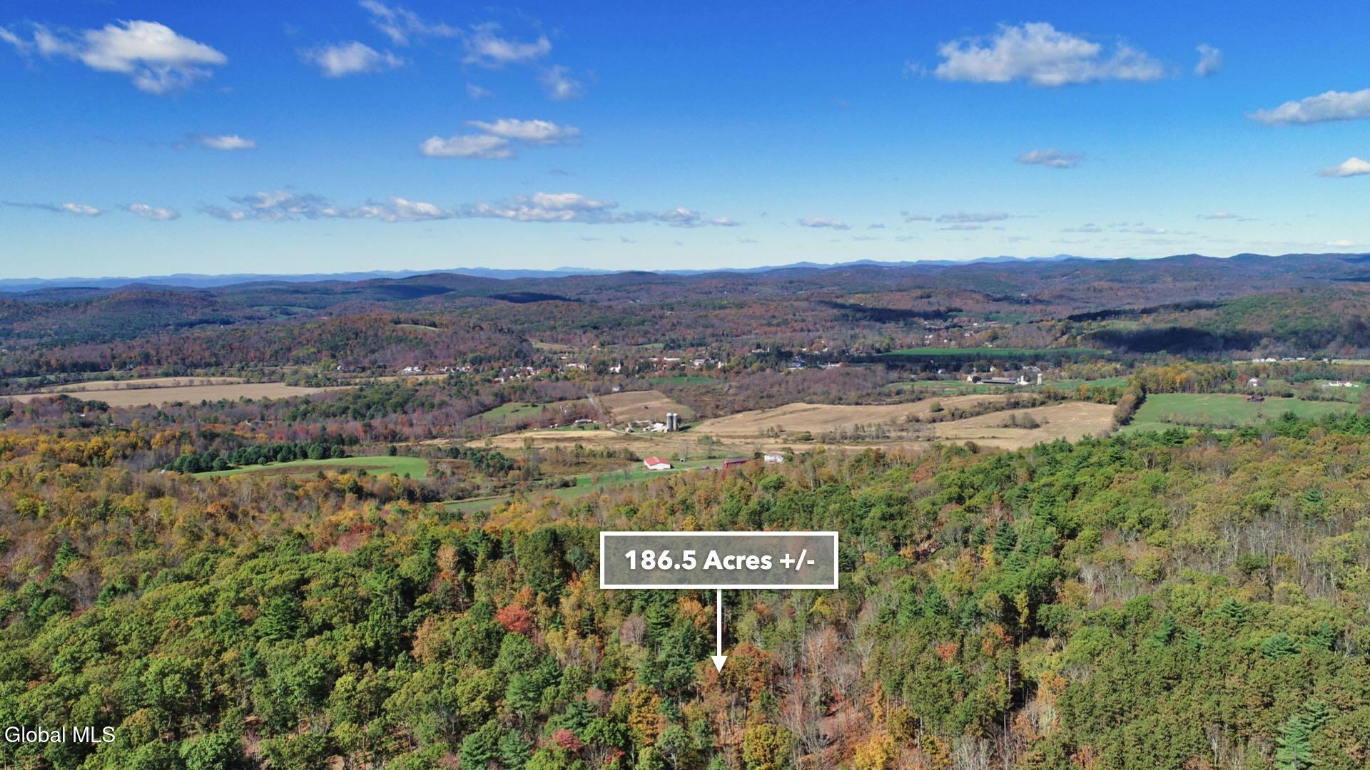 97 Sky Parlor Way Salem, NY 12865 - Photo 70 of 92 73