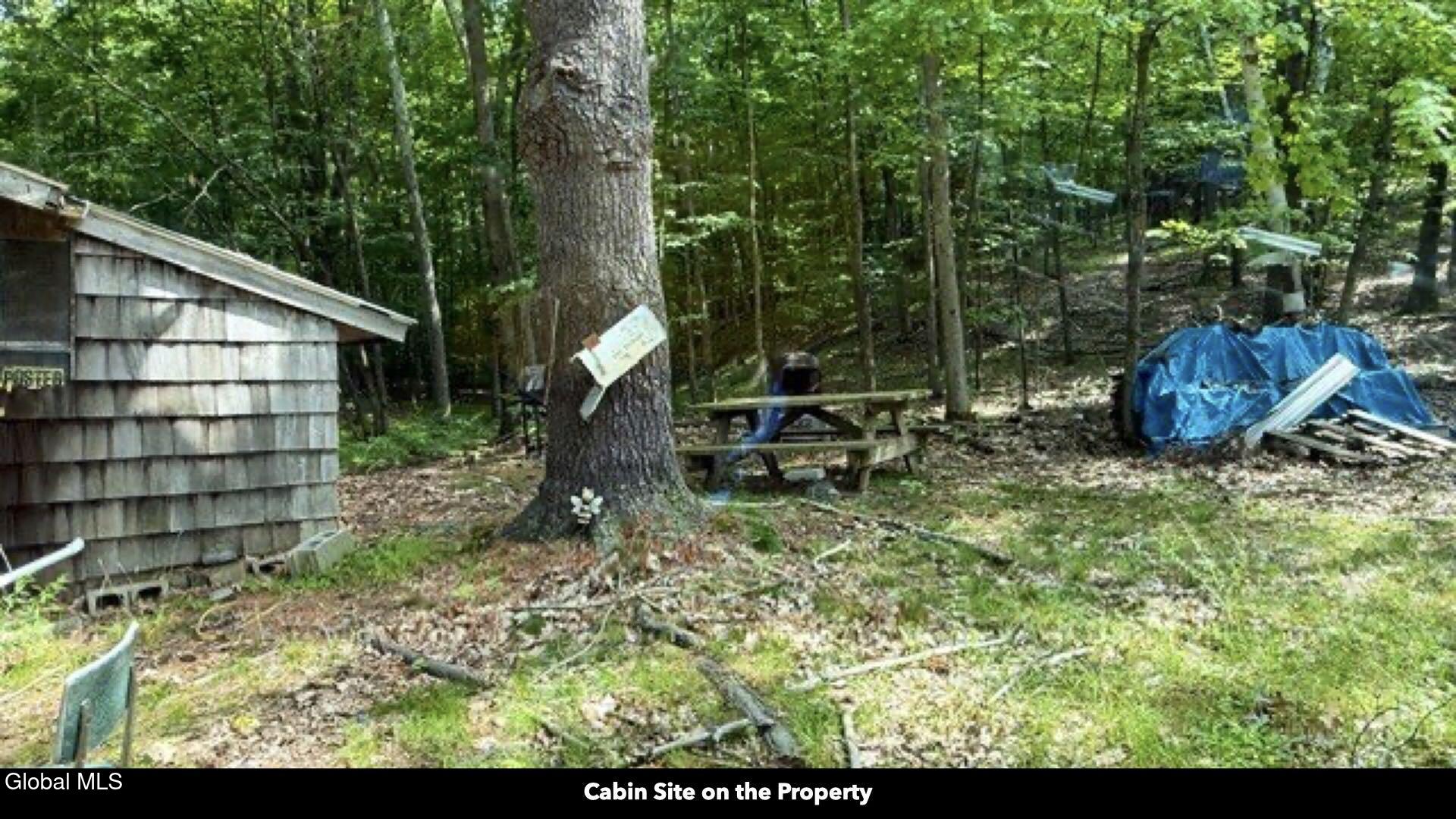 97 Sky Parlor Way Salem, NY 12865 - Photo 7 of 92 06