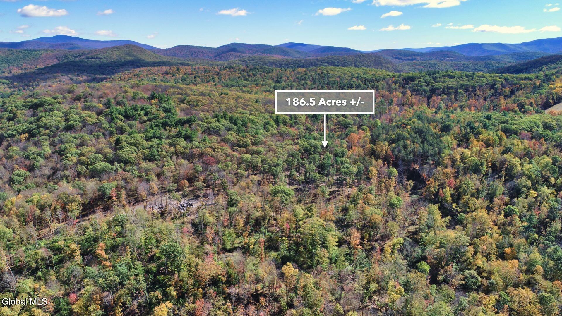 97 Sky Parlor Way Salem, NY 12865 - Photo 71 of 92 74