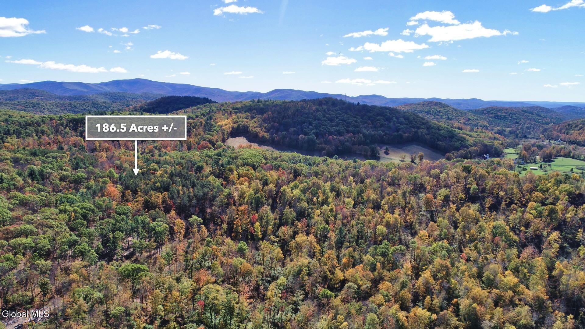 97 Sky Parlor Way Salem, NY 12865 - Photo 72 of 92 75