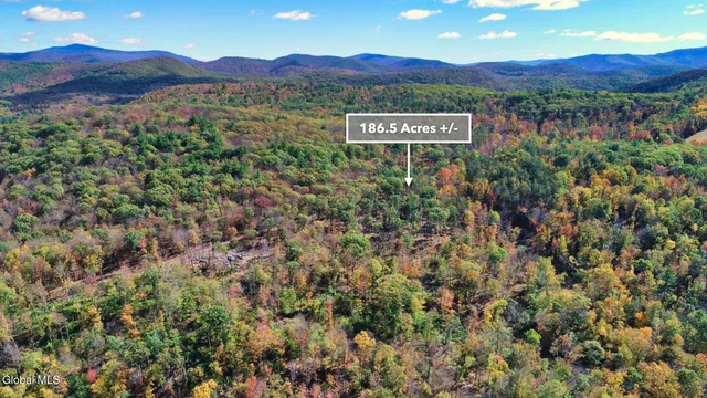 $373,000 | 97 Sky Parlor Way, Salem, NY 12865