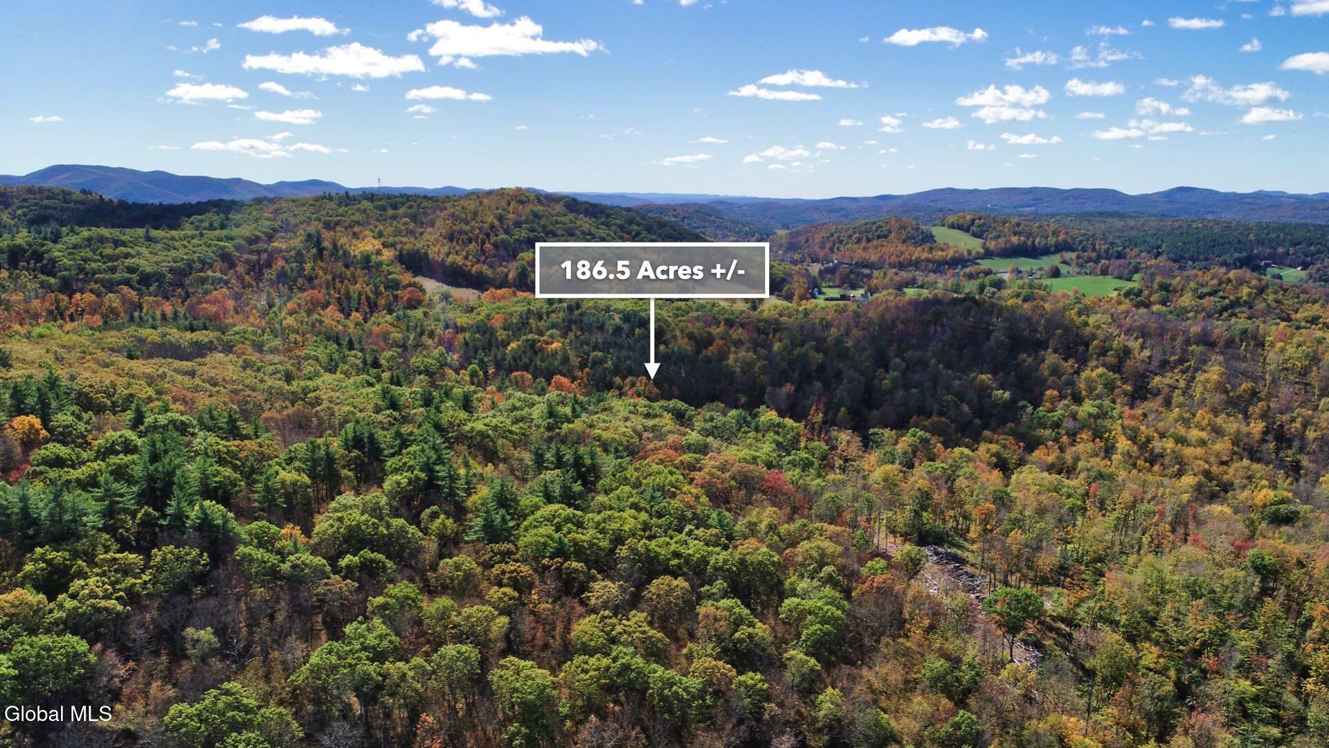 97 Sky Parlor Way Salem, NY 12865 - Photo 73 of 92 76