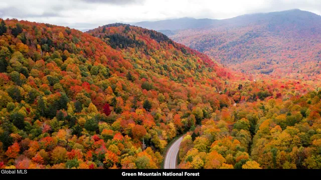 $373,000 | 97 Sky Parlor Way, Salem, NY 12865