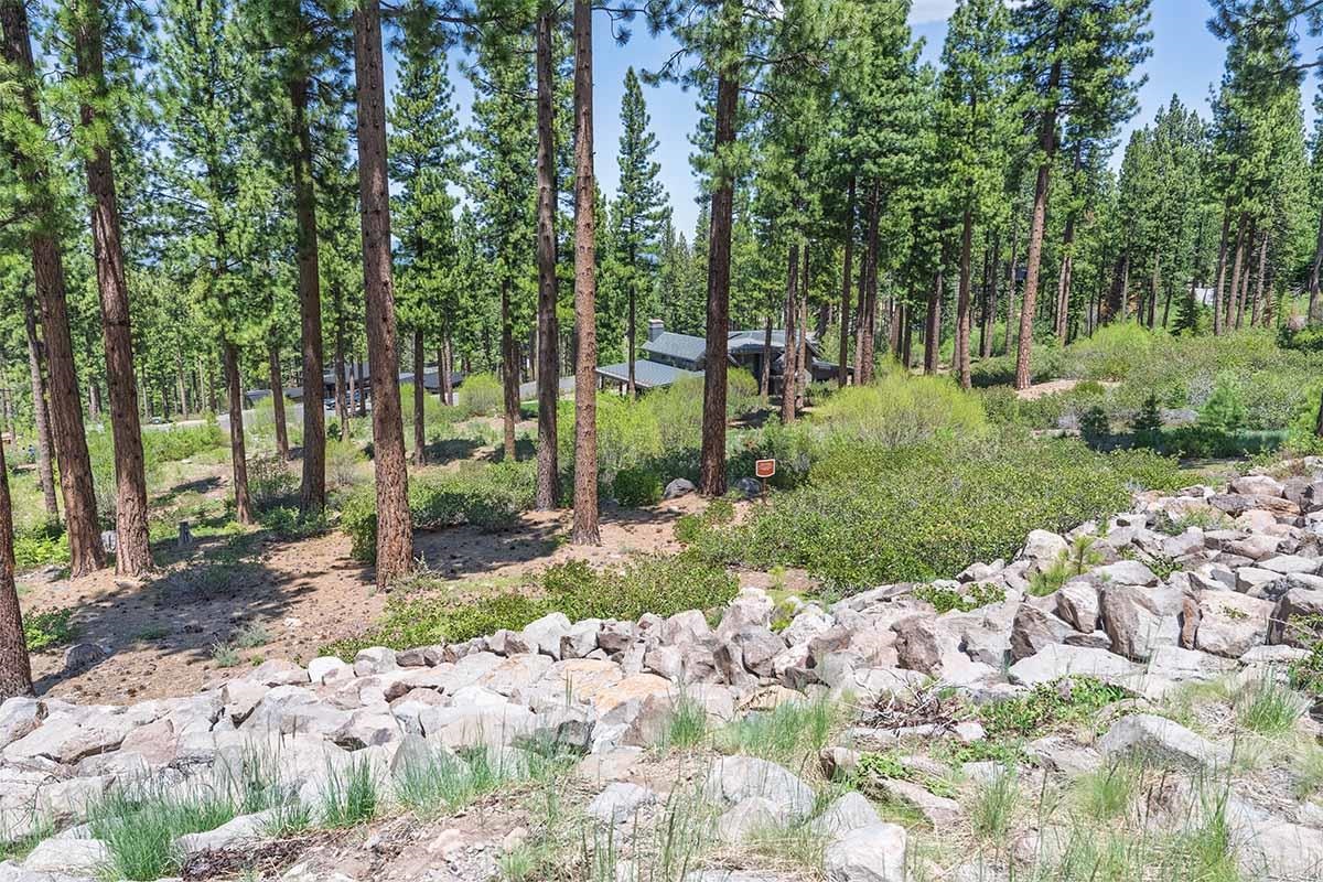 8143 Fallen Leaf Way Truckee, CA 96161 - Photo 2 of 17 a view of a garden with a tree