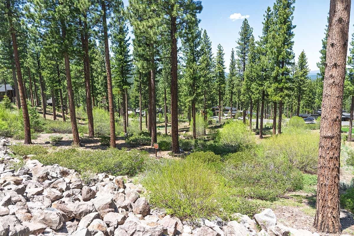 8143 Fallen Leaf Way Truckee, CA 96161 - Photo 3 of 17 a view of backyard with green space