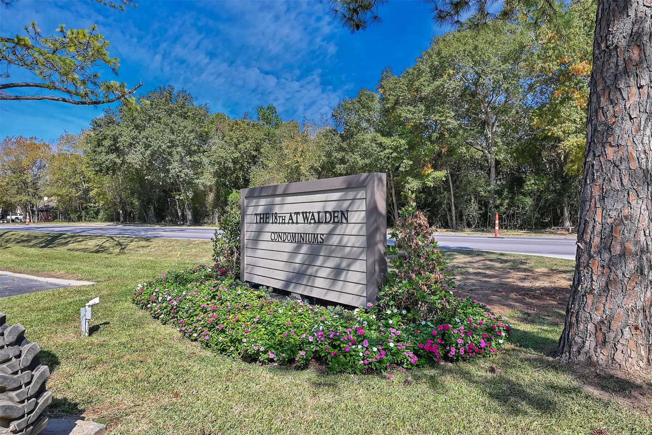 12900 Walden Road, Unit 620 Montgomery, TX 77356 - Photo 21 of 21 a view of a garden with plants