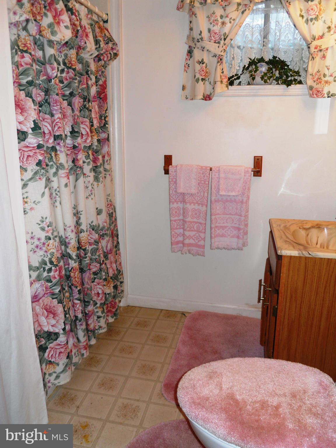 13155 Resh Road Hagerstown, MD 21740 - Photo 22 of 28 Bath